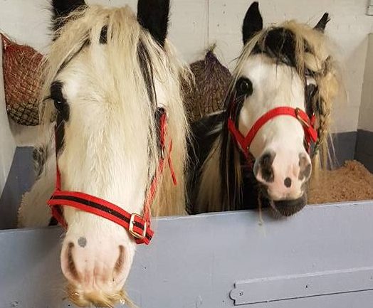 redecorating paint project using cheap and low cost paint from a Community RePaint scheme.