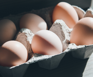 Eggs